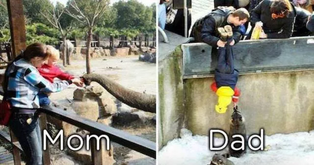 Mamans vs papas le role parental en images - #14 