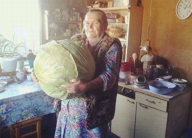 Picdump 51