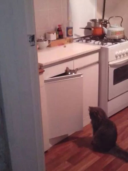 Picdump 51 - #24 