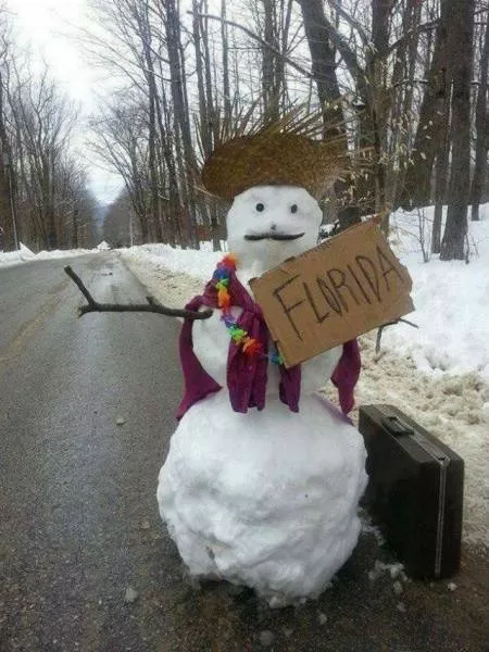 Picdump 51 - #3 