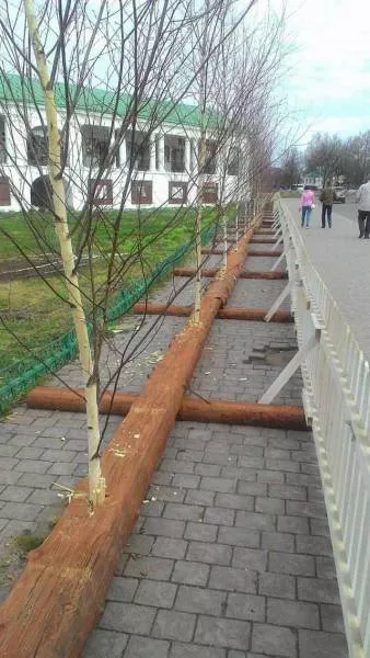 Picdump 51 - #52 