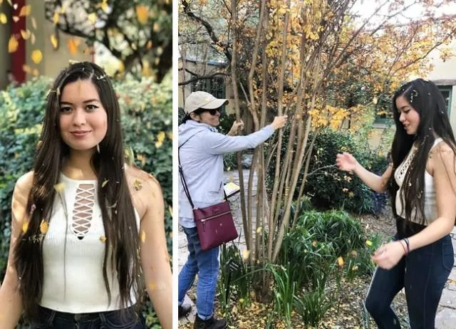 Professional photos with simple equipment - #14 