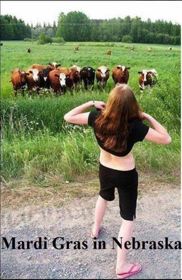 Picdump 270 - #16 