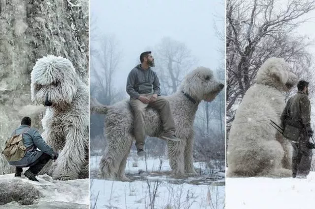 The most unique animals on the planet - #14 
