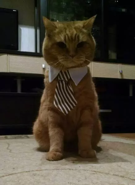 Picdump 271 - #16 