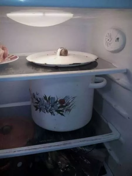 Picdump 271 - #17 