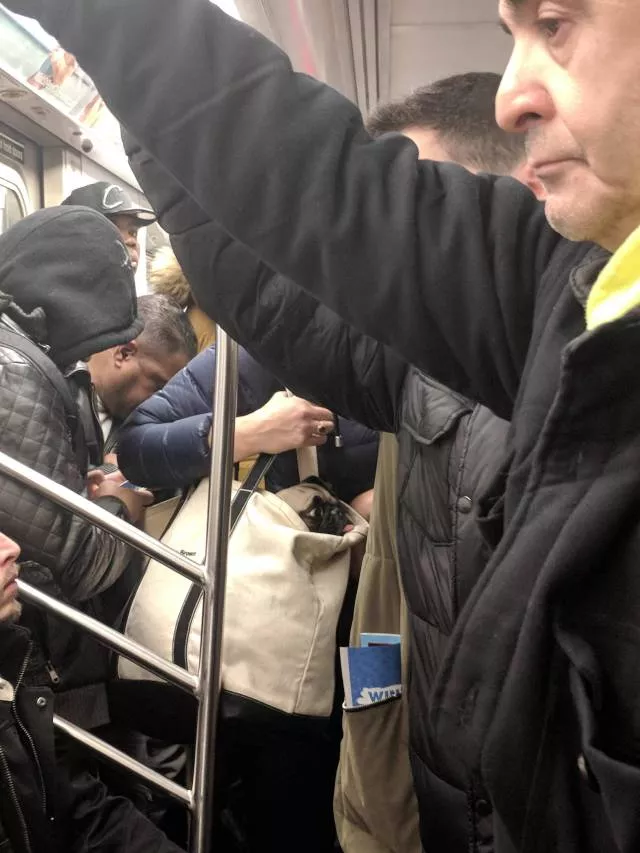 Picdump 271 - #40 