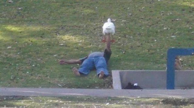 Picdump 272 - #45 