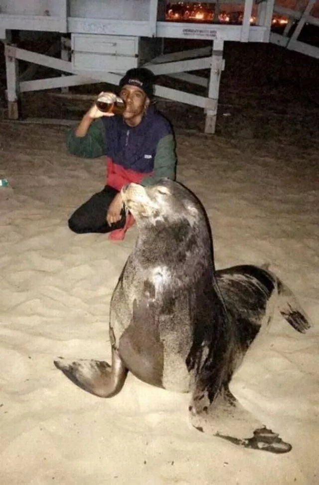 Picdump 272 - #47 