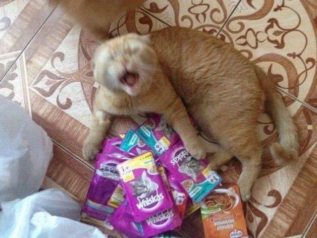 Picdump 272 - #56 