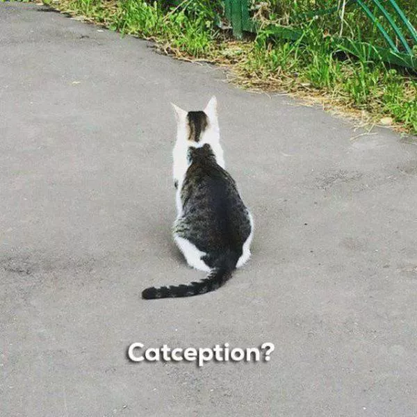 Picdump 272 - #58 