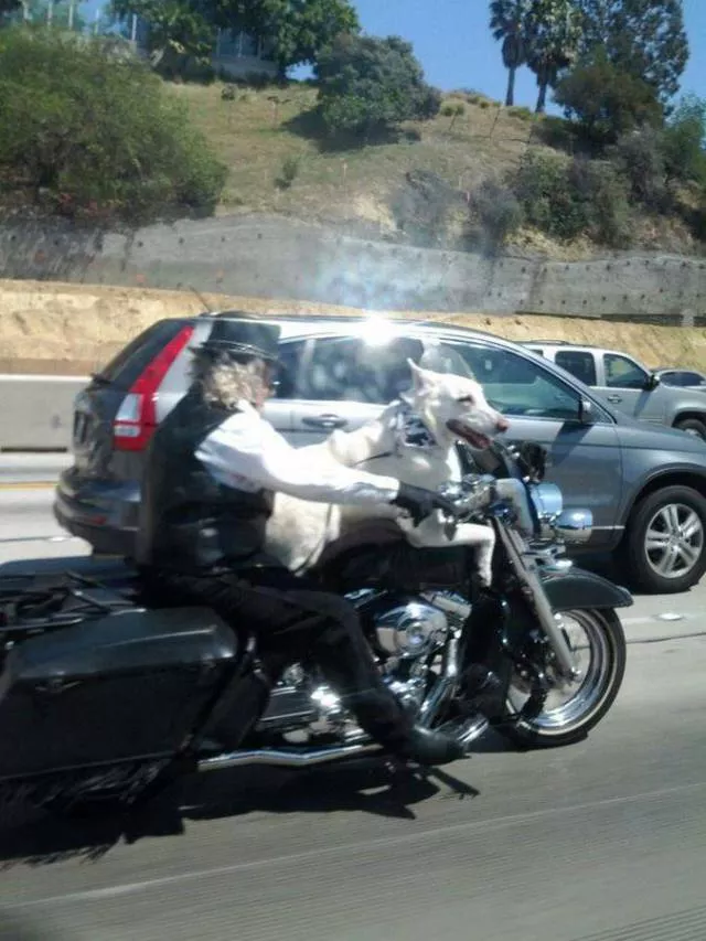 Picdump 272 - #6 