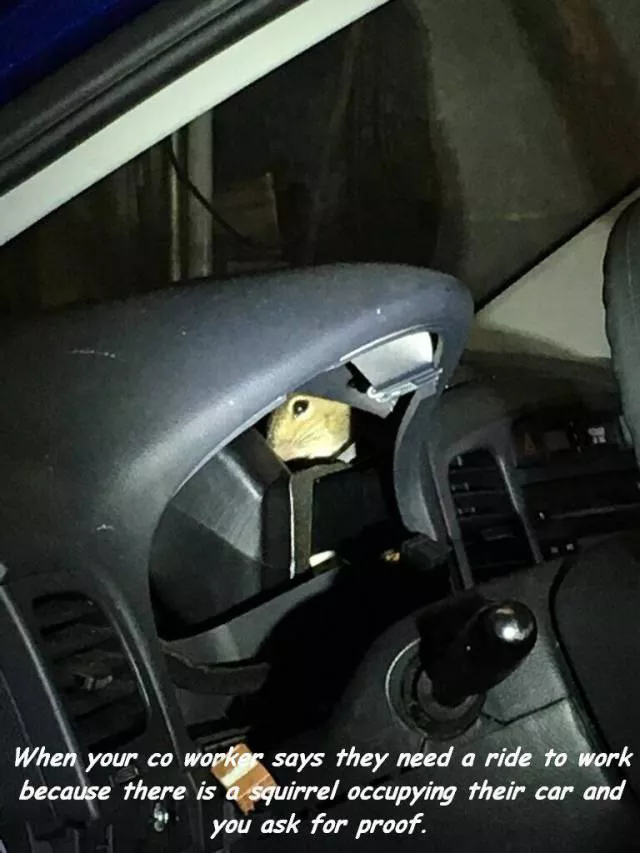 Picdump 272 - #72 