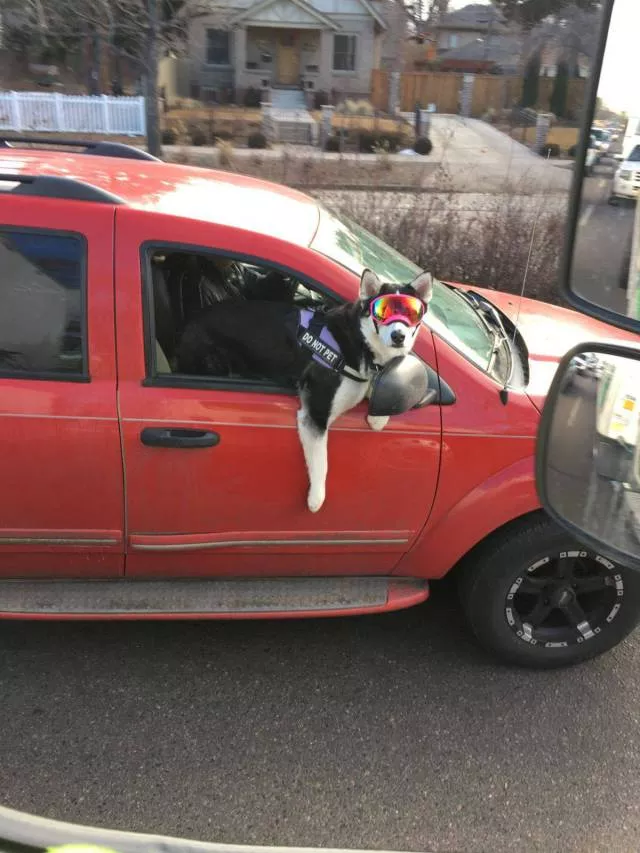 Picdump 272 - #74 