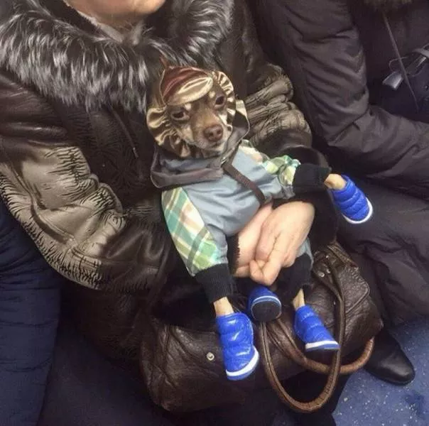 Picdump 272 - #78 