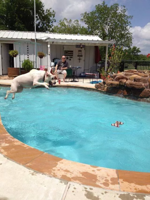 Picdump 272 - #8 
