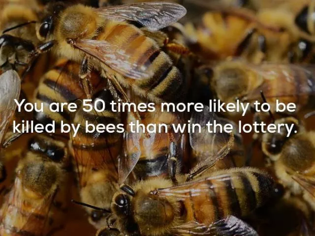 Very interesting facts - #11 