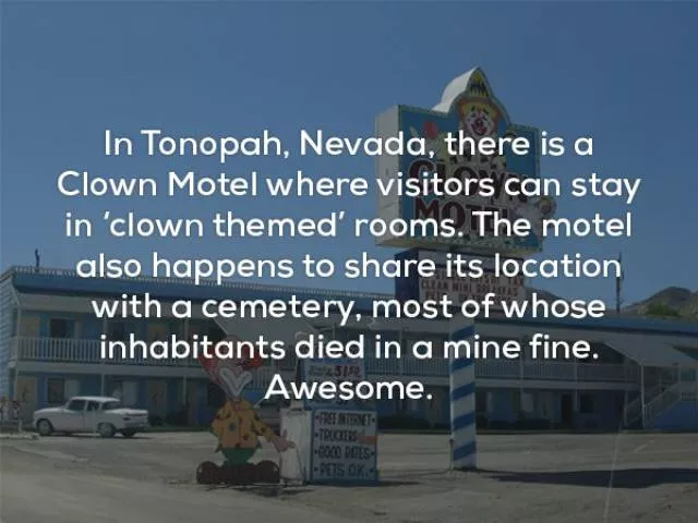 Very interesting facts - #14 