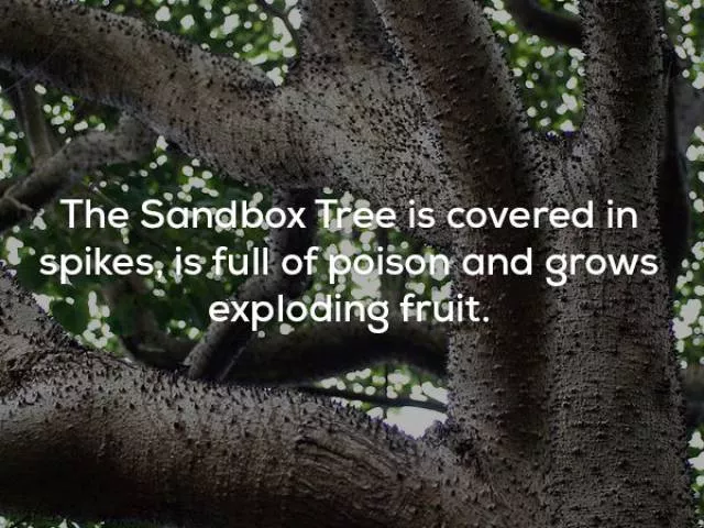 Very interesting facts - #18 