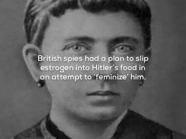 Very interesting facts - #24 