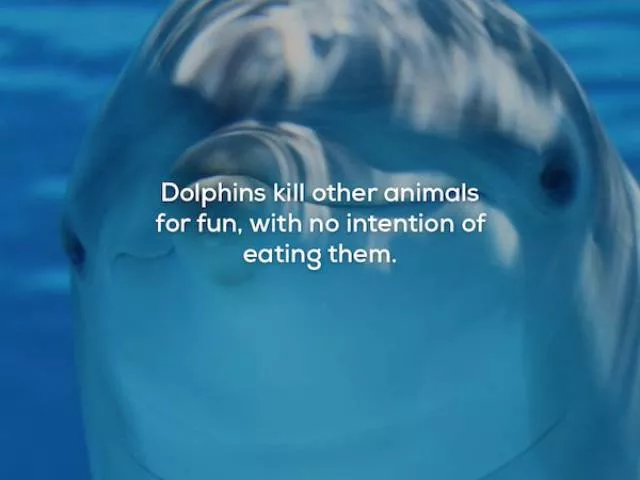 Very interesting facts - #32 