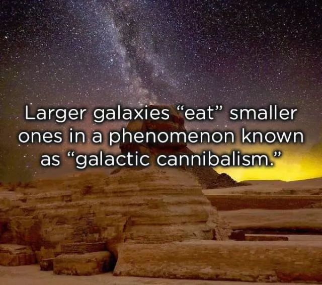Very interesting facts - #35 