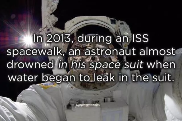 Very interesting facts - #36 