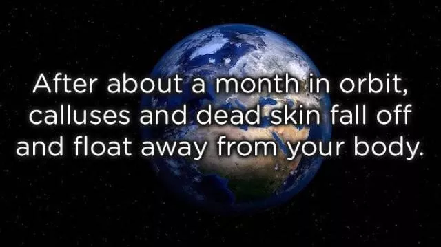 Very interesting facts - #38 