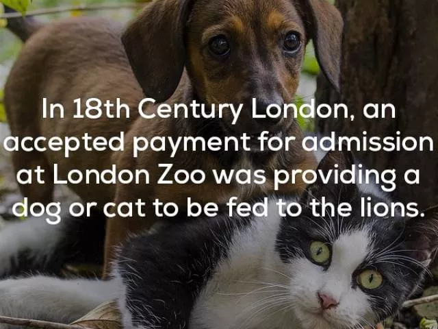 Very interesting facts - #5 