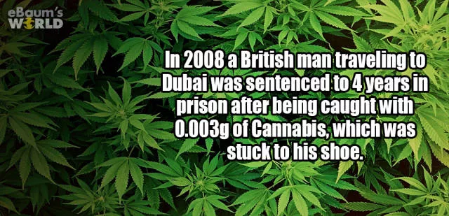 Very interesting facts - #51  Very interesting facts - #51