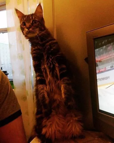 Picdump 52 - #12 