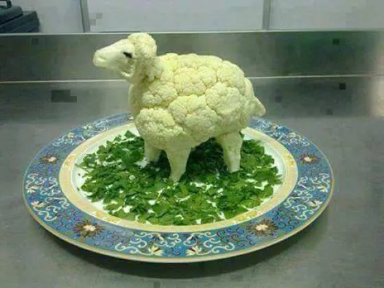 Picdump 52 - #24 