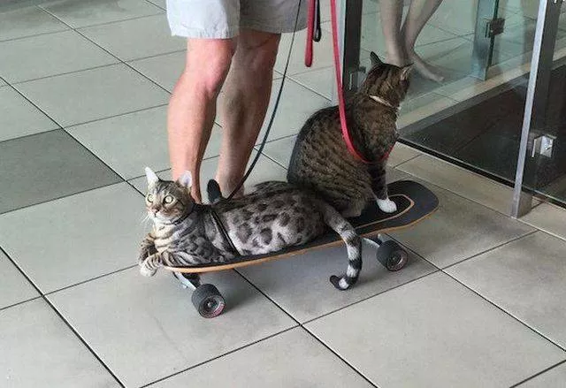 Picdump 52 - #37 