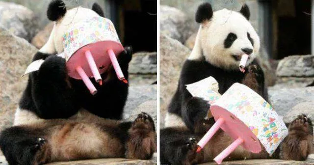 Picdump 52 - #42 