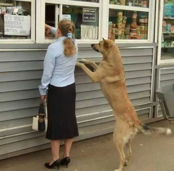 Picdump 52 - #5 
