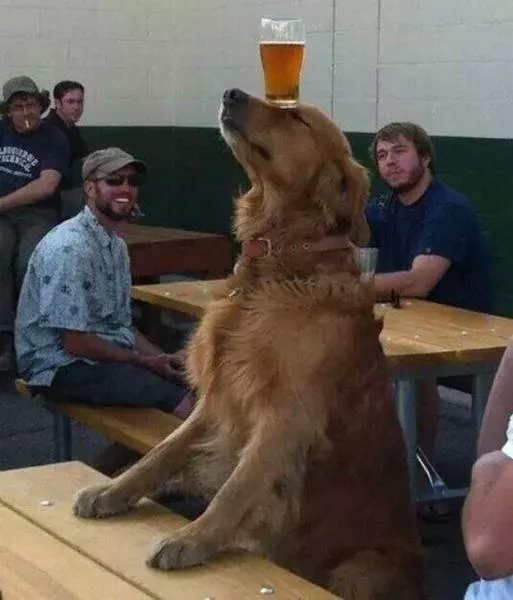 Picdump 52 - #62 