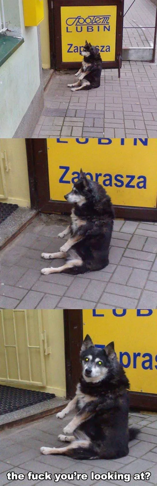 Picdump 52 - #68 