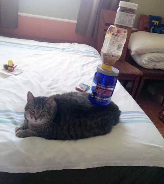 Picdump 52 - #69 