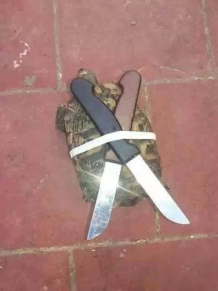 Picdump 52 - #79 