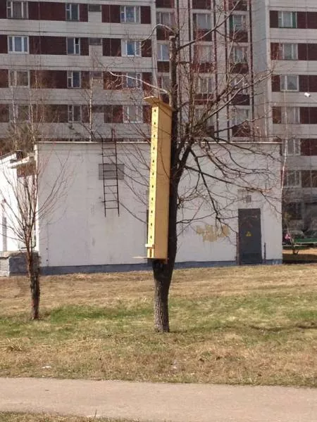 Picdump 52 - #8 