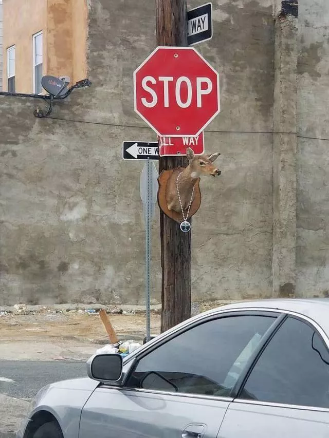 Picdump 274 - #10 