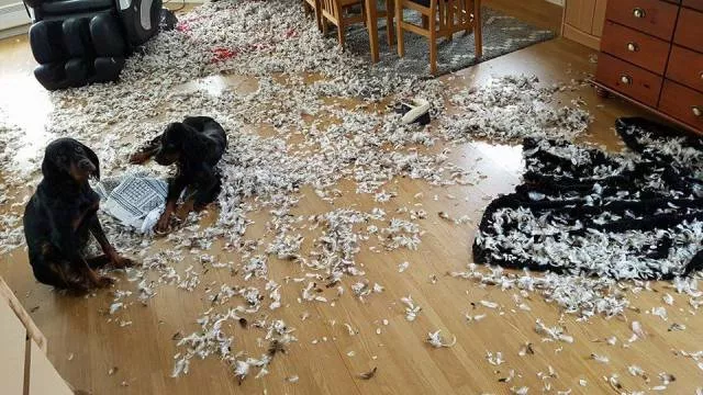 Picdump 274 - #54 