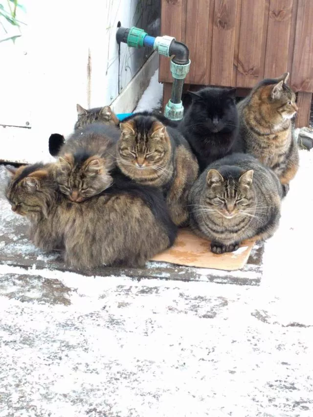 Picdump 274 - #56 