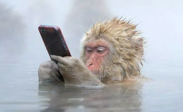 Picdump 274 - #67 