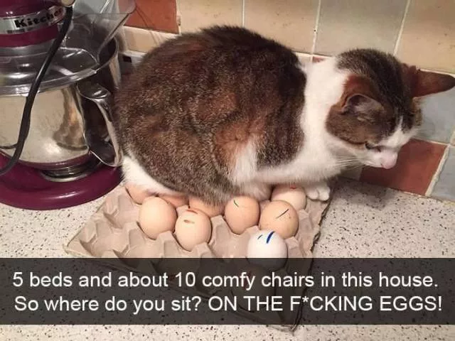 The most embarrassing situations - #40 