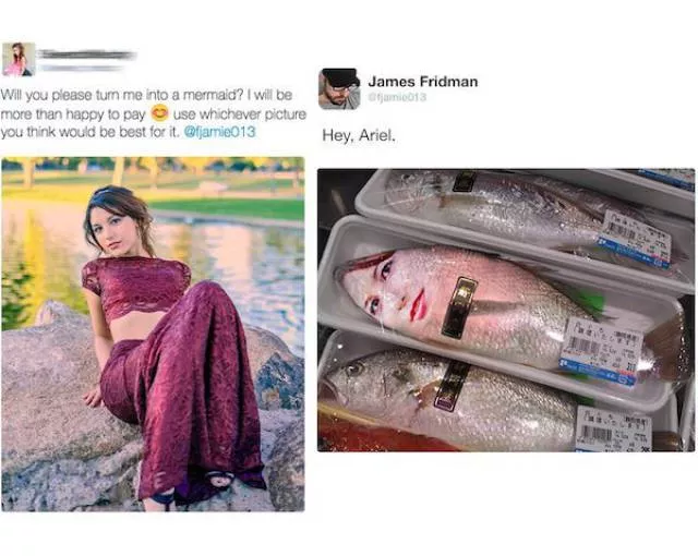 Le travail de james fridman - #4 