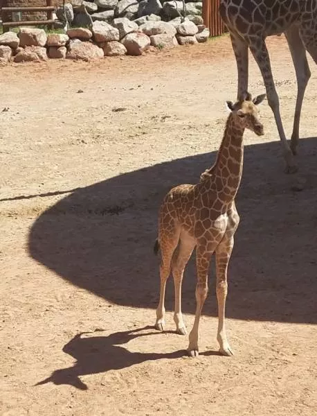 Unbelievable photos that will make you look twice - #13 