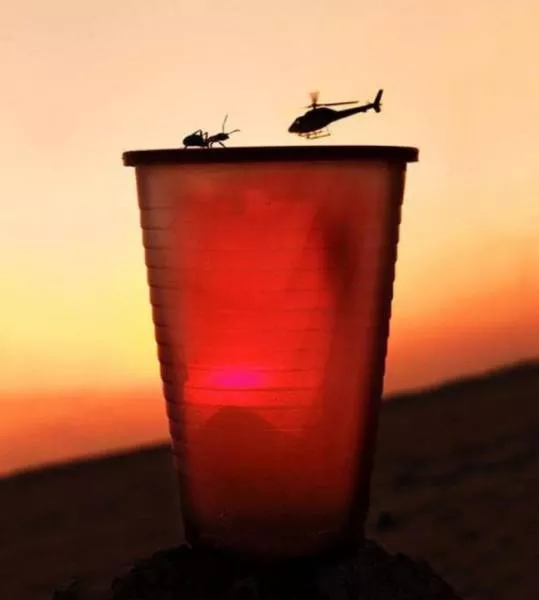 Unbelievable photos that will make you look twice - #15 