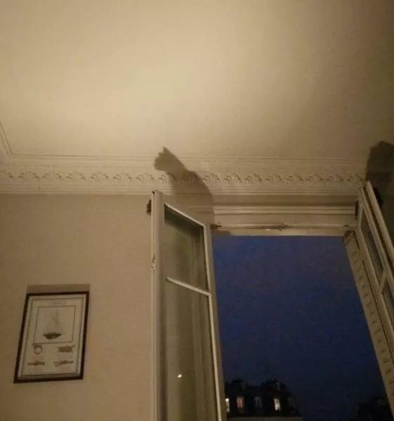  photos incroyable qui vous fera regarder deux fois - #20 