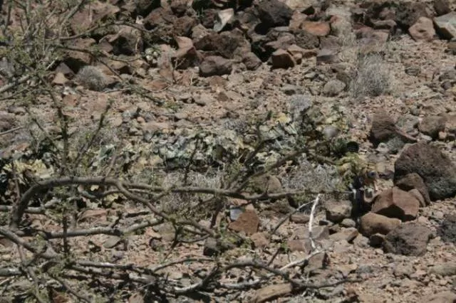 It takes concentration to find sniper - #9 